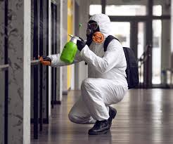 Best Environmental Consulting for Mold Prevention in South Hempstead, NY